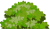Local cooling experts bush