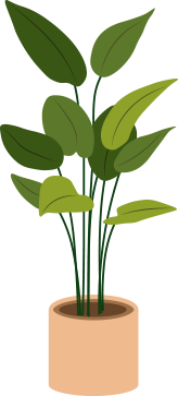 Best heating installers tall plant
